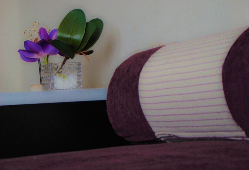 اتاق استاندارد, Petit Recoleta Suites