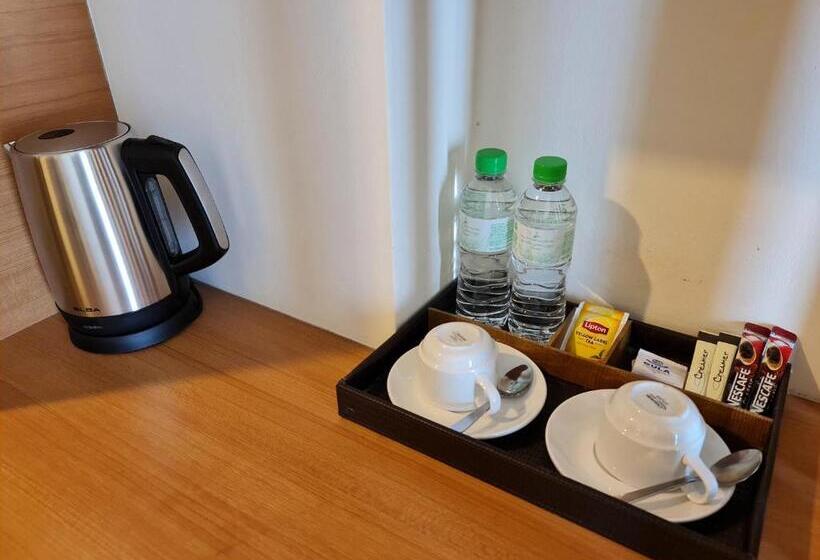 اتاق سوپریور با تخت بزرگ, Swan Garden