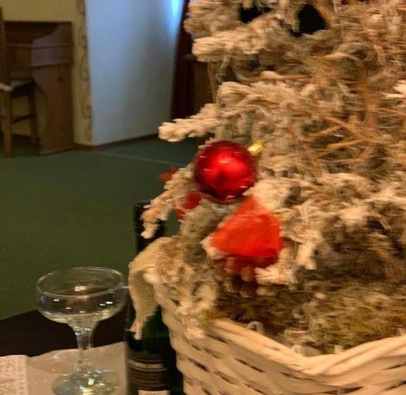 豪华套房, Villa Franca