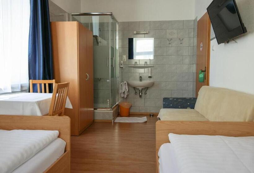 اتاق استاندارد با سرویس بهداشتی مشترک, Wilder Mann