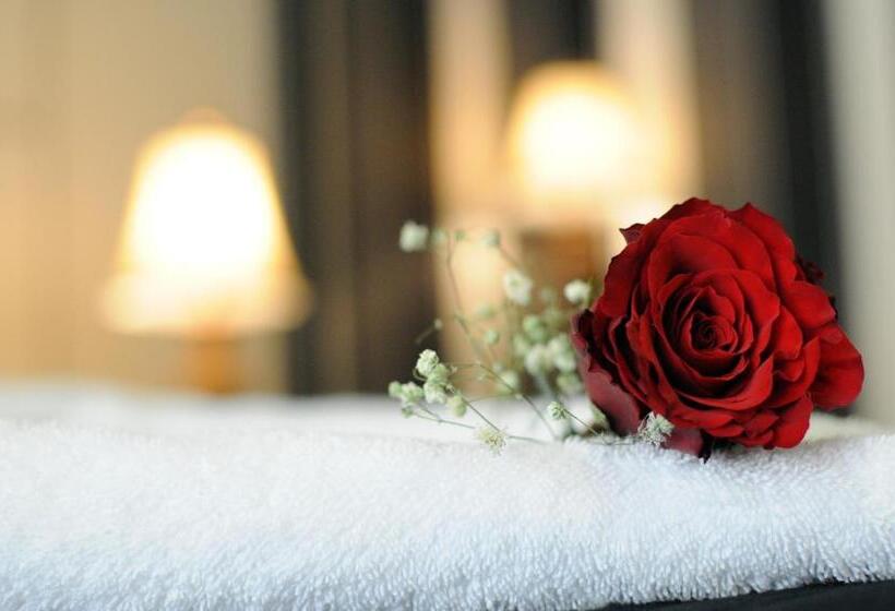 标准间, Zowar International