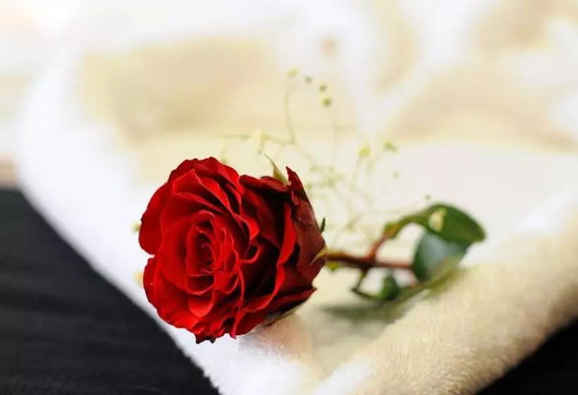 اتاق استاندارد سه نفره, Zowar Alalami Hotel فندق زوار العالمي