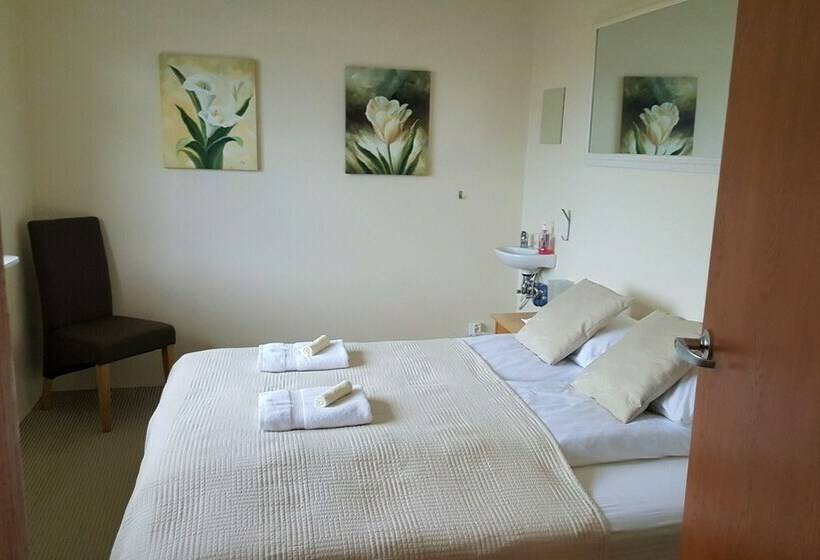اتاق استاندارد با سرویس بهداشتی مشترک, Comfy Guesthouse Westfjords