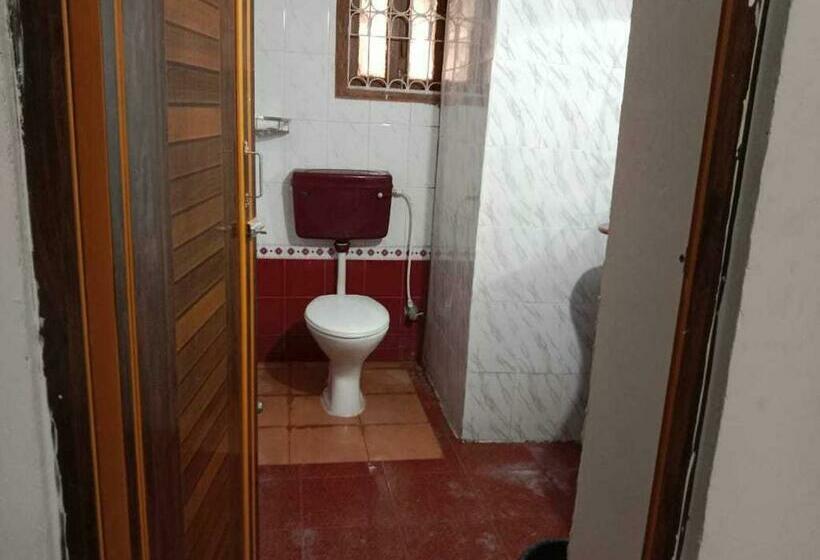 Basic Rum, O Dream Marion