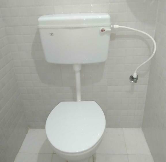 Basic Rum, O Dream Marion