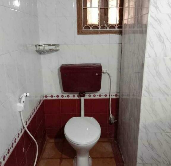 Basic Rum, O Dream Marion