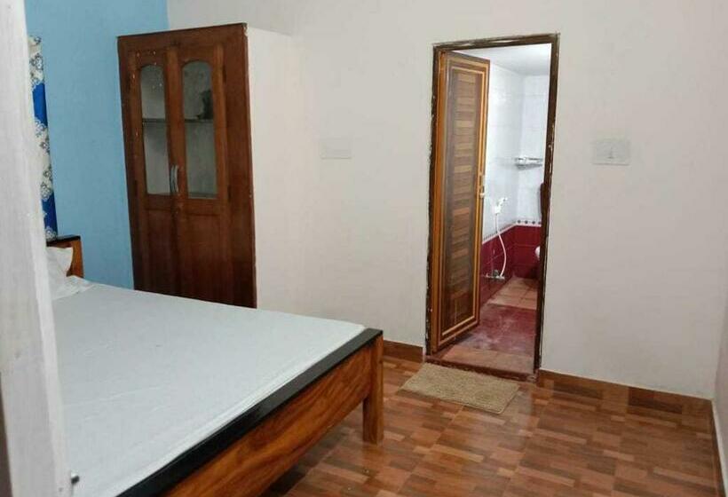 Basic Rum, O Dream Marion