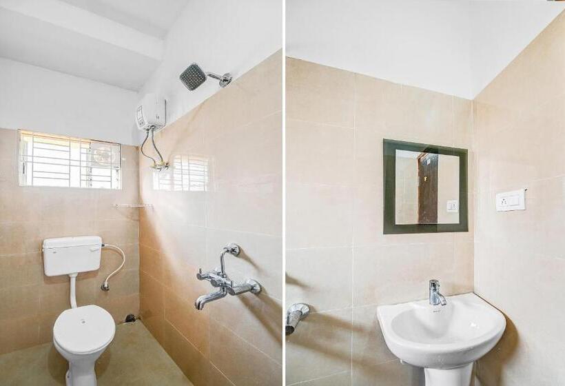 Basic Rum, O Dream Marion