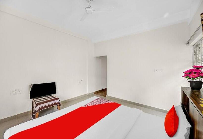 Basic Rum, O Dream Marion