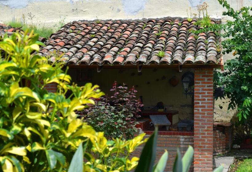 スタンダードルーム, El Mesón De Doña Josefina