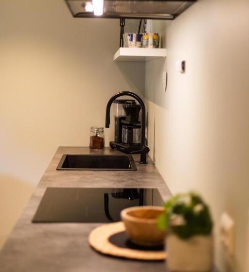 דירה בת חדר שינה 1 עם נוף, Lodgen Stryn