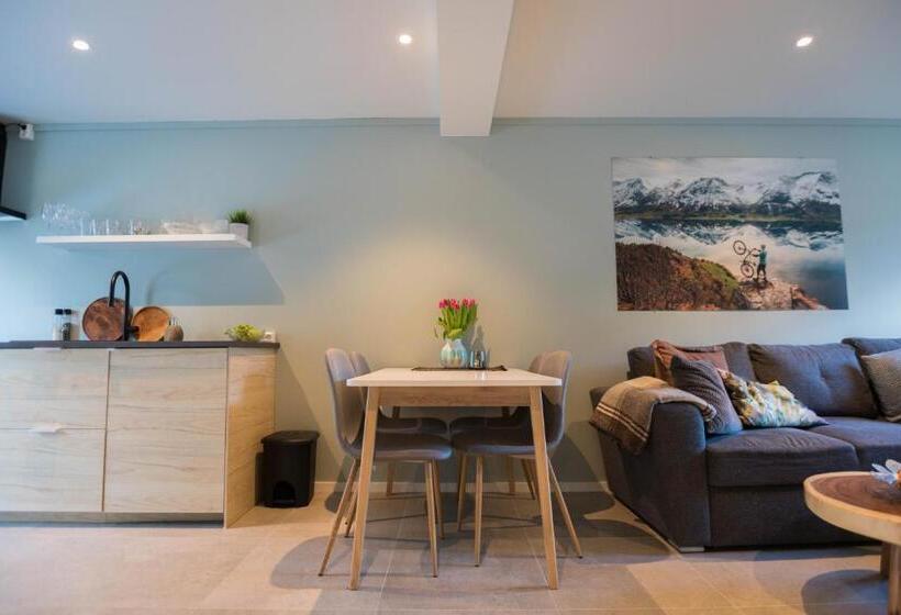 דירת חדר, Lodgen Stryn