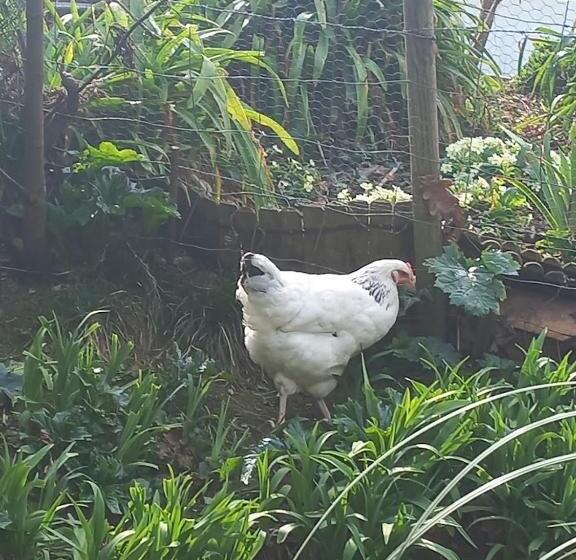 غرفة قياسية مطلّة علي الحديقة, La Casa Bed&breakfast Entrée Indépendante 26m2 Calme Proche De Tout Wifi Parking Privé Jardin Terras