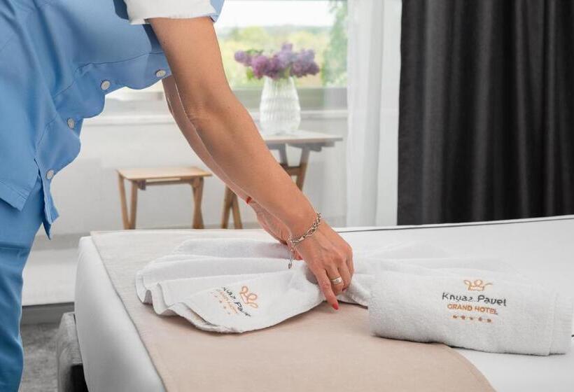 غرفة ديلوكس, гранд хотел княз павел