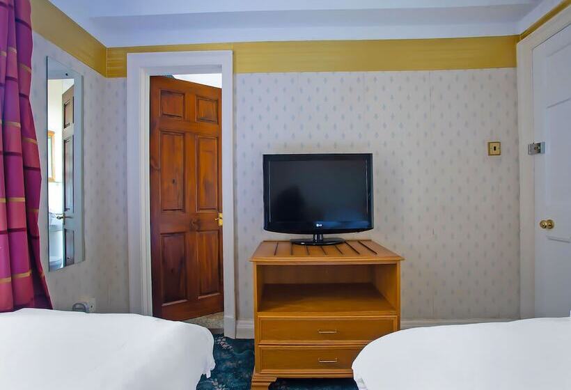 스탠다드 룸, Great White Horse