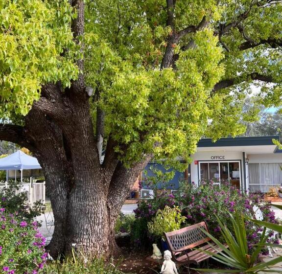 수피리어 패밀리 룸, Sturt Motel Balranald