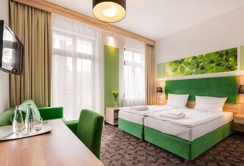 Номер Стандарт, Cottonina Hotel & Mineral Spa Resort