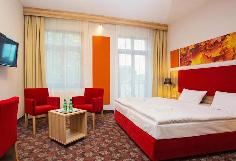 Номер Стандарт, Cottonina Hotel & Mineral Spa Resort