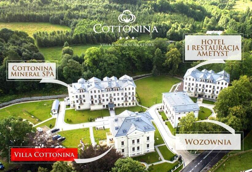 Номер Deluxe, Cottonina Hotel & Mineral Spa Resort
