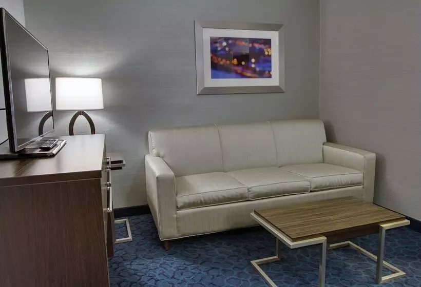 スイート, Holiday Inn Express Sidney, An Ihg
