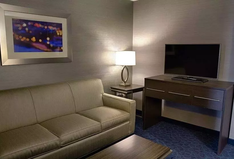 スイート, Holiday Inn Express Sidney, An Ihg