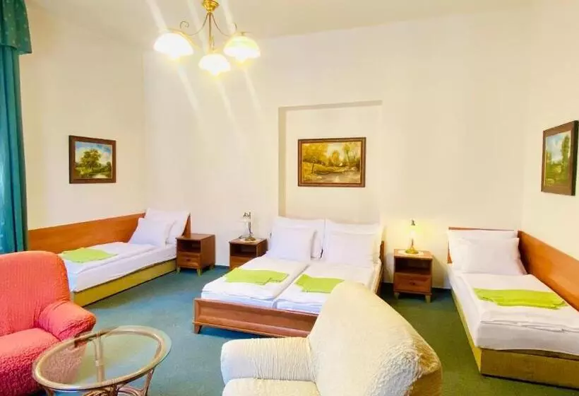 スタンダード４人部屋, Penzion černý Kůň