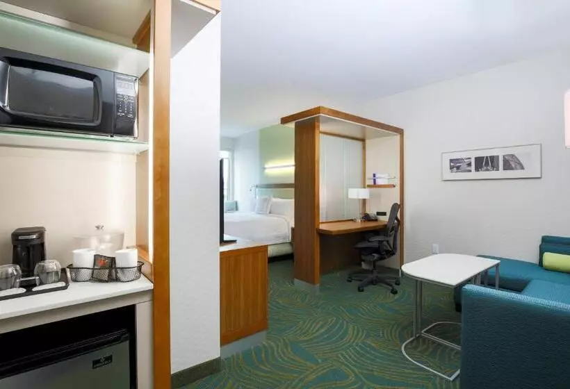 キングサイズベッドのスイートルーム, Springhill Suites By Marriott San Jose Airport