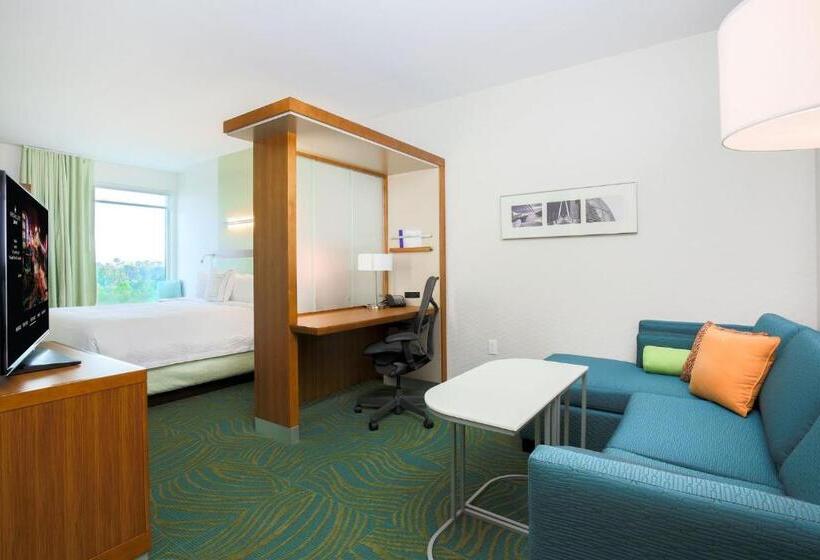 Люкс Кровать Кинг, Springhill Suites By Marriott San Jose Airport