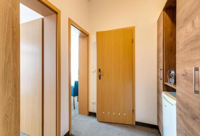 バルコニー付きスタンダードステューディオ, Pensjonat Lider