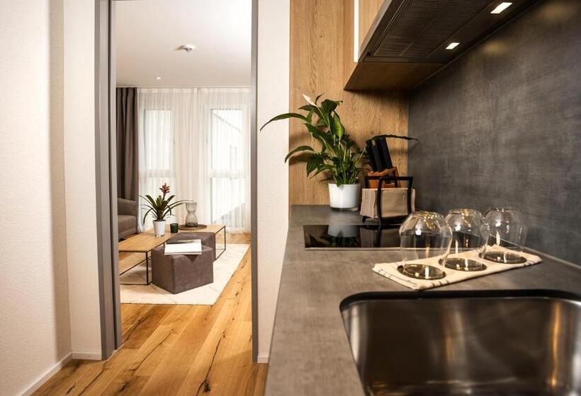 Апартаменты 1 Спальня, Lms La Maison Suisse Döttingen