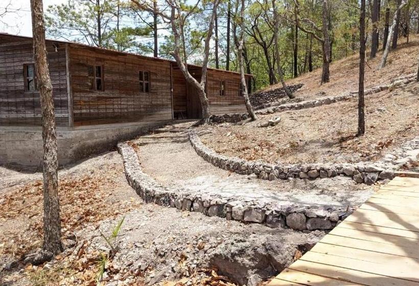 سوییت خانوادگی, Posada San Lázaro