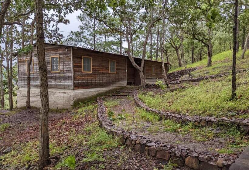 اتاق اکونومی, Posada San Lázaro