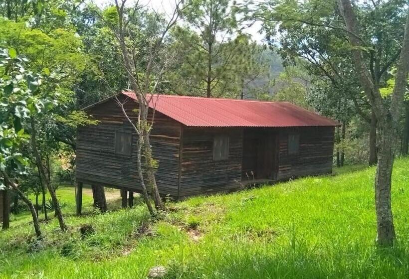 اتاق لوکس, Posada San Lázaro