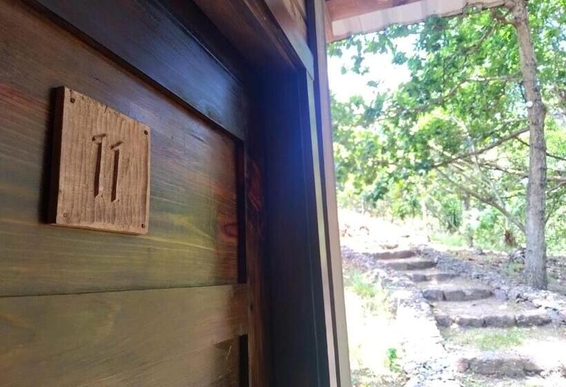 اتاق اکونومی, Posada San Lázaro