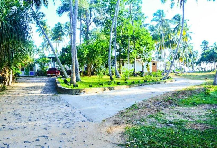 Номер Deluxe Вид на Море, Helios Beach Resort