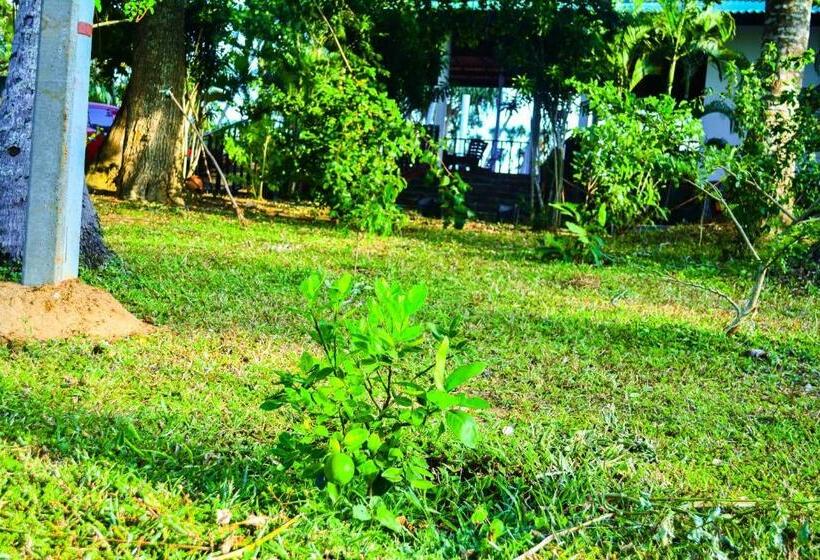 Номер Стандарт Вид на Море, Helios Beach Resort