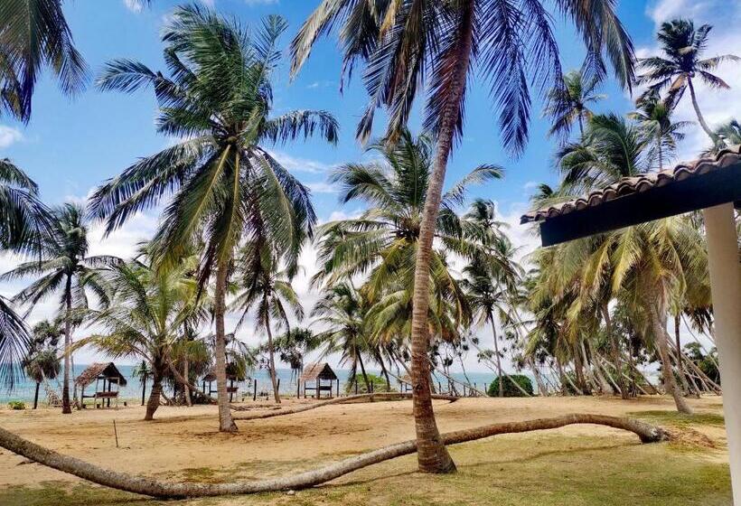 اتاق استاندارد با چشم‌انداز دریا, Helios Beach Resort