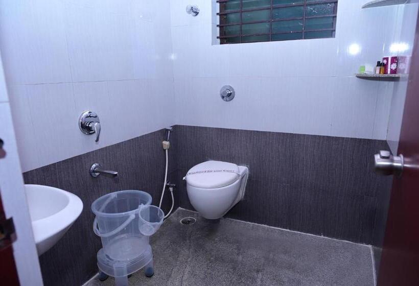 Camera Standard, Stay Shine