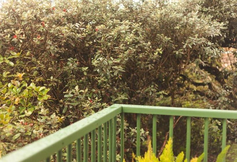스탠다드 룸 킹사이즈 침대, La Liebre Bed And Breakfast