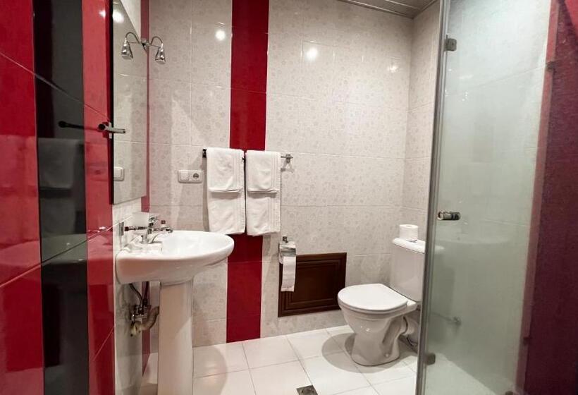 Camera Standard, Olympavan