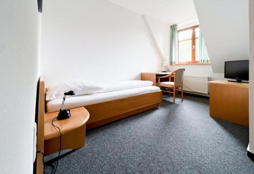 스탠다드 싱글 룸, Hansenhof