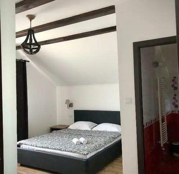 Habitació Estàndard Llit King, Casa Paunescu