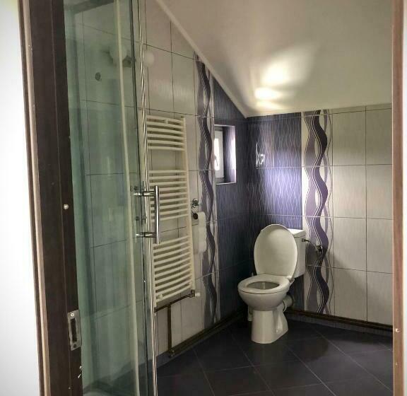 带大床的标准间, Casa Paunescu