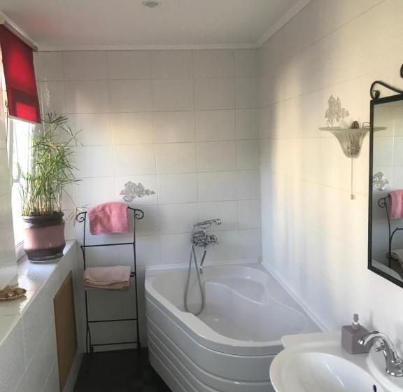 Standard Stúdió Erkéllyel, андреевская мансарда»у амура»