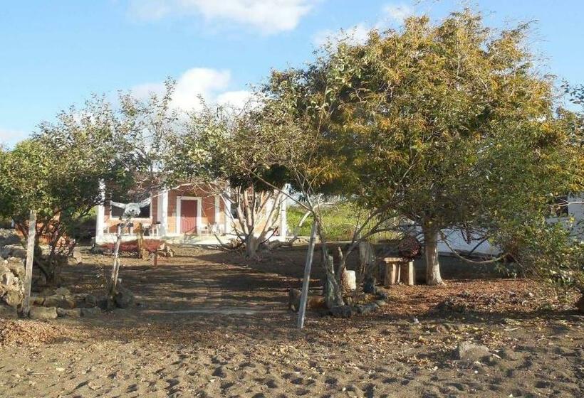 ویلای 2 خوابه, Black Beach House