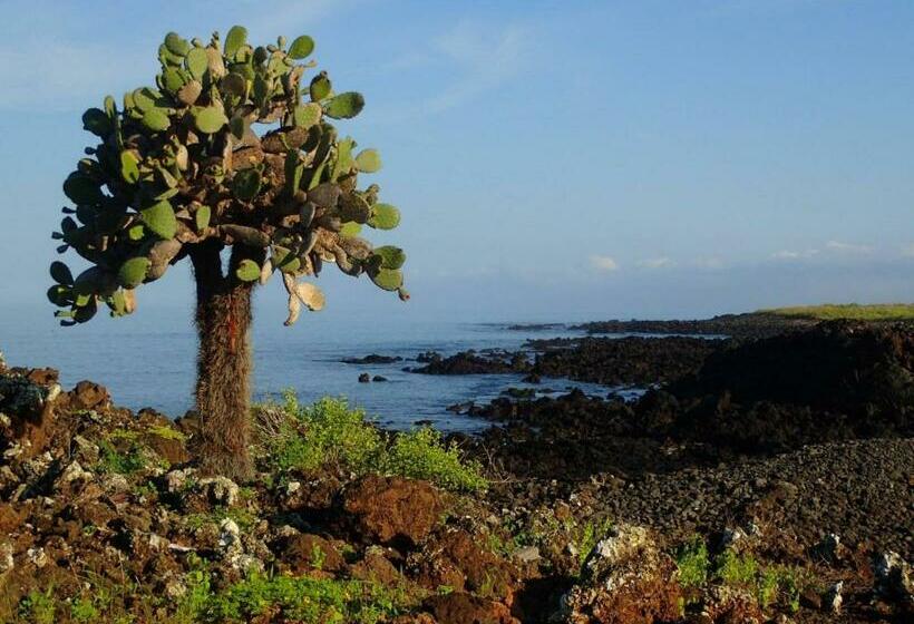 ویلای 2 خوابه, Black Beach House