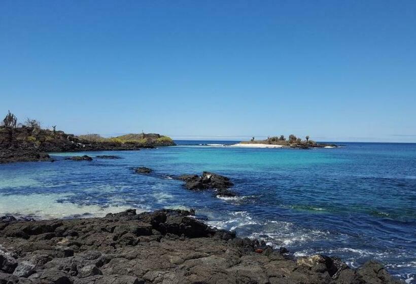 ویلای 2 خوابه, Black Beach House