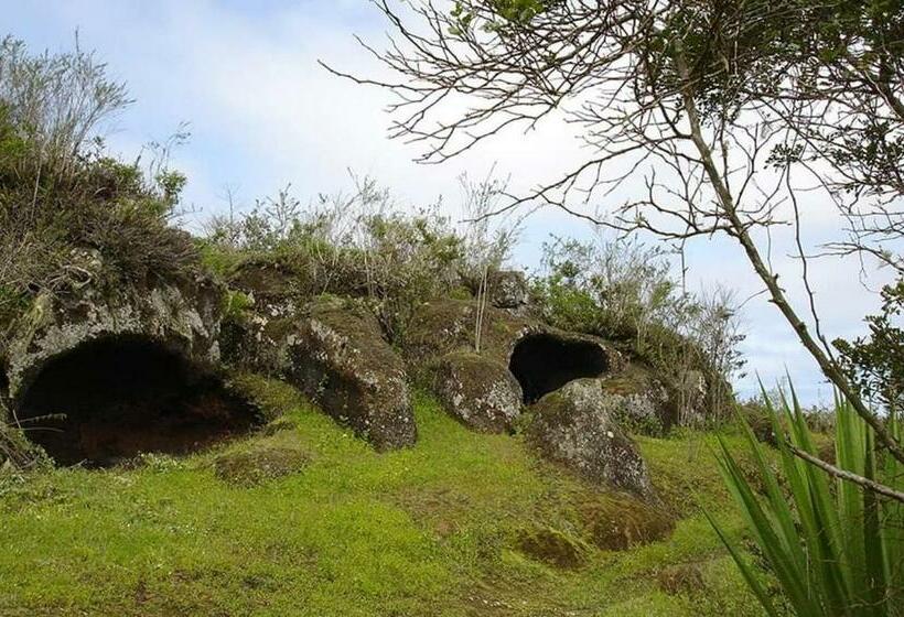 ویلای 2 خوابه, Black Beach House