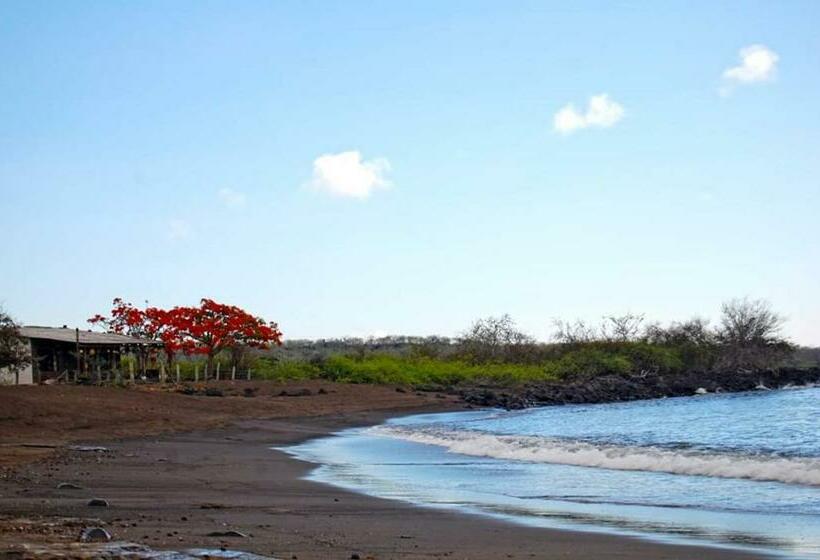 ویلای 2 خوابه, Black Beach House