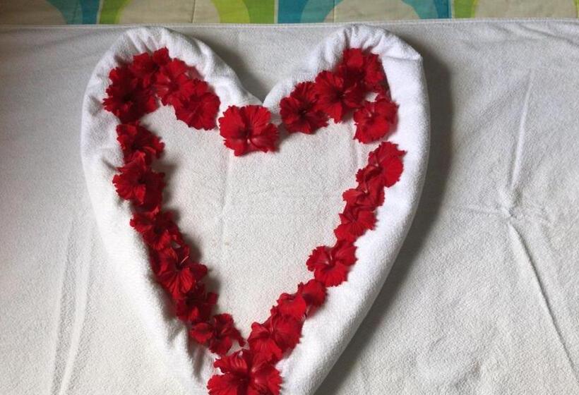 ویلای 2 خوابه, Black Beach House